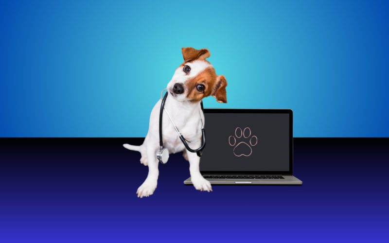 IT Support Services for Veterinary Practices from Information Solutions